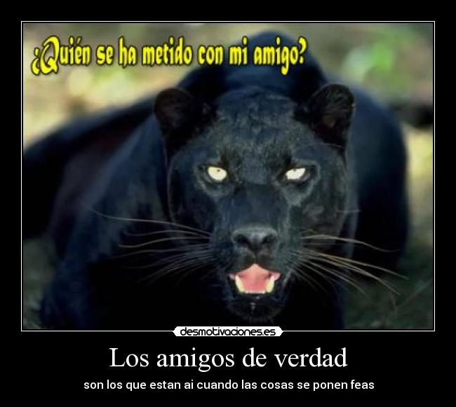 Los amigos de verdad - son los que estan ai cuando las cosas se ponen feas