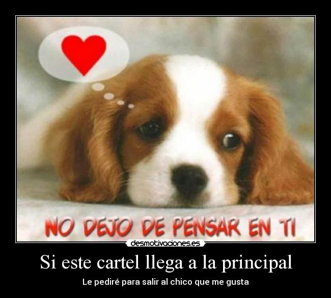 Si este cartel llega a la principal - Le pediré para salir al chico que me gusta