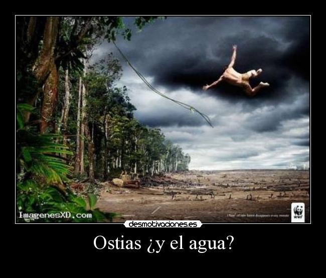 Ostias ¿y el agua? - 