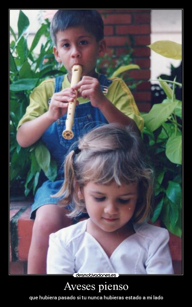 Aveses pienso - 