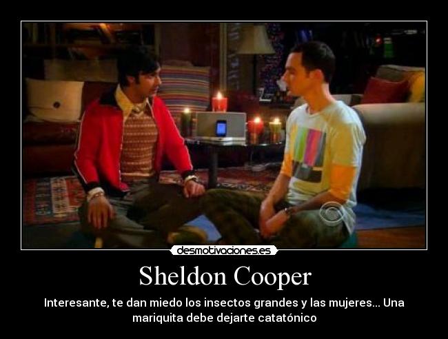 Sheldon Cooper - Interesante, te dan miedo los insectos grandes y las mujeres... Una
mariquita debe dejarte catatónico