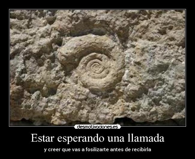 Estar esperando una llamada - y creer que vas a fosilizarte antes de recibirla