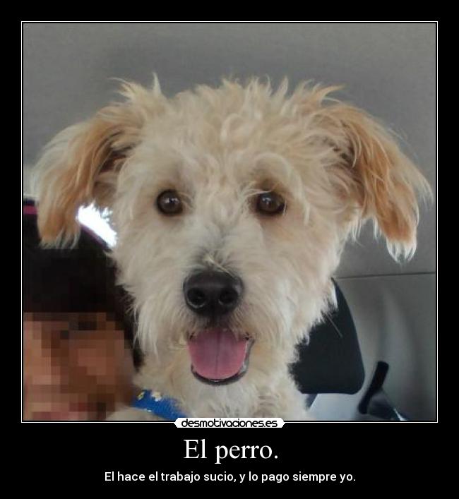 El perro. - El hace el trabajo sucio, y lo pago siempre yo.