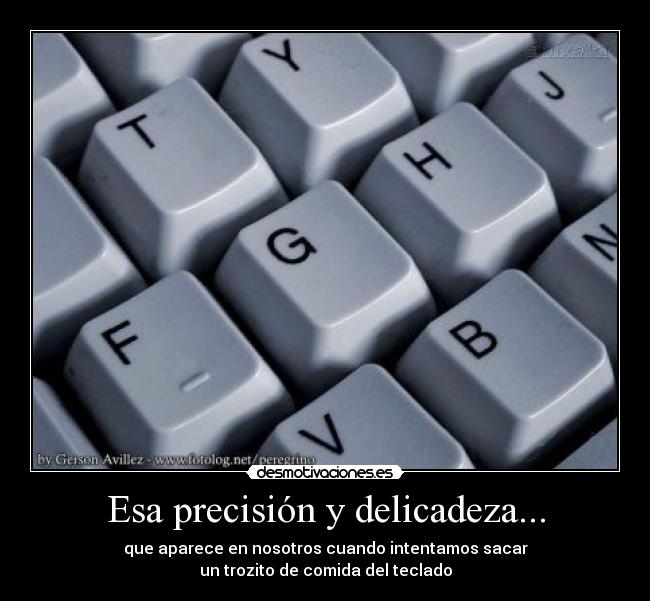 Esa precisión y delicadeza... - 