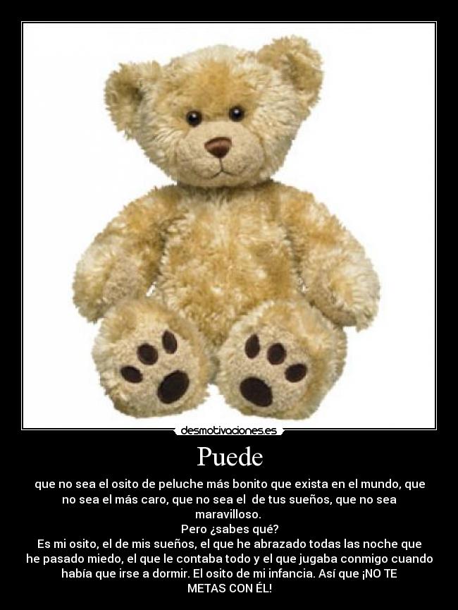 Puede - que no sea el osito de peluche más bonito que exista en el mundo, que
no sea el más caro, que no sea el de tus sueños, que no sea
maravilloso.
Pero ¿sabes qué?
Es mi osito, el de mis sueños, el que he abrazado todas las noche que
he pasado miedo, el que le contaba todo y el que jugaba conmigo cuando
había que irse a dormir. El osito de mi infancia. Así que ¡NO TE
METAS CON ÉL!