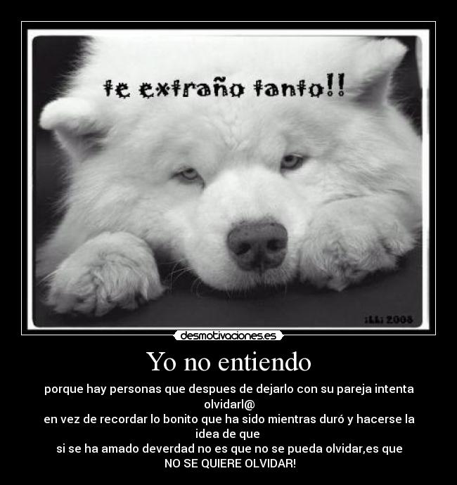 carteles 12345 desmotivaciones