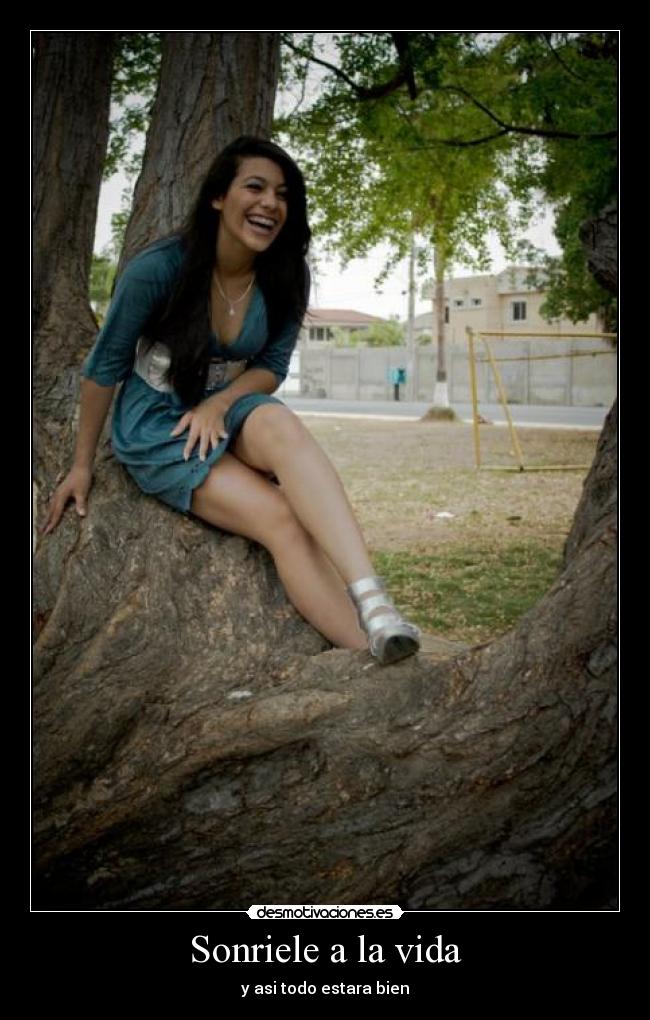 carteles vida amo desmotivaciones