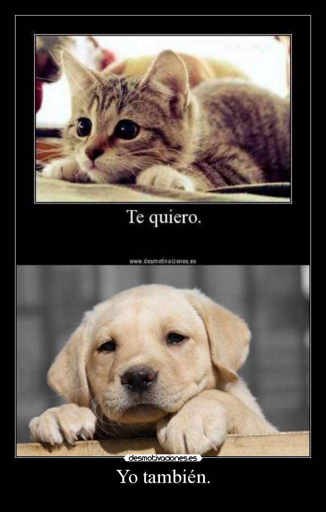 Yo también. - 