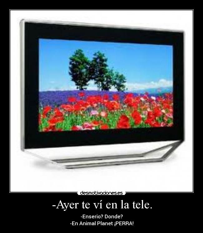 -Ayer te ví en la tele. - -Enserio? Donde?
-En Animal Planet ¡PERRA!