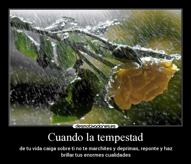 Cuando la tempestad -