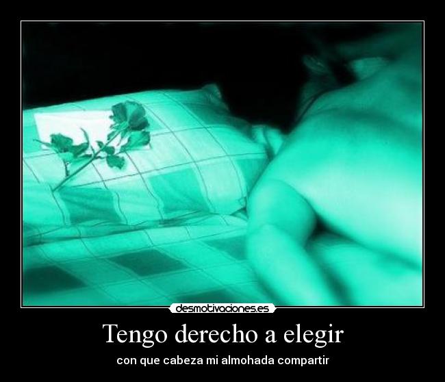 Tengo derecho a elegir - con que cabeza mi almohada compartir