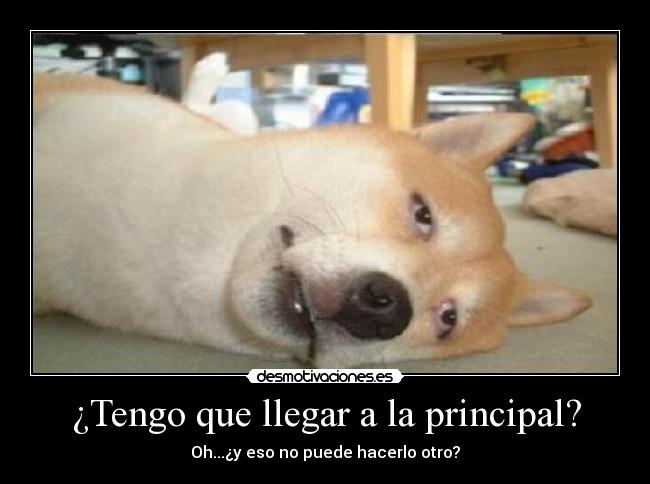 ¿Tengo que llegar a la principal? - Oh...¿y eso no puede hacerlo otro?