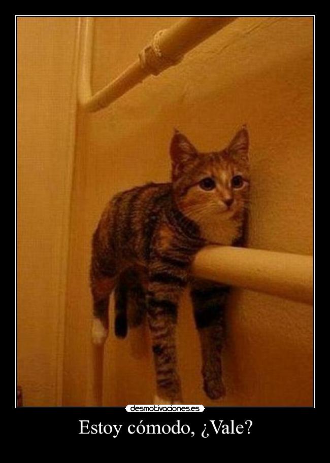 carteles deivod estoy comodo vale desmotivaciones