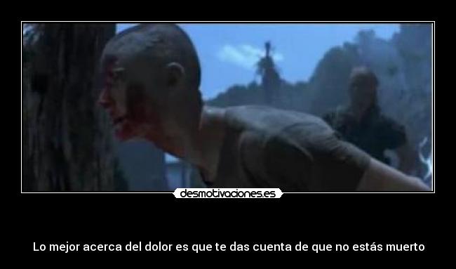 - Lo mejor acerca del dolor es que te das cuenta de que no estás muerto