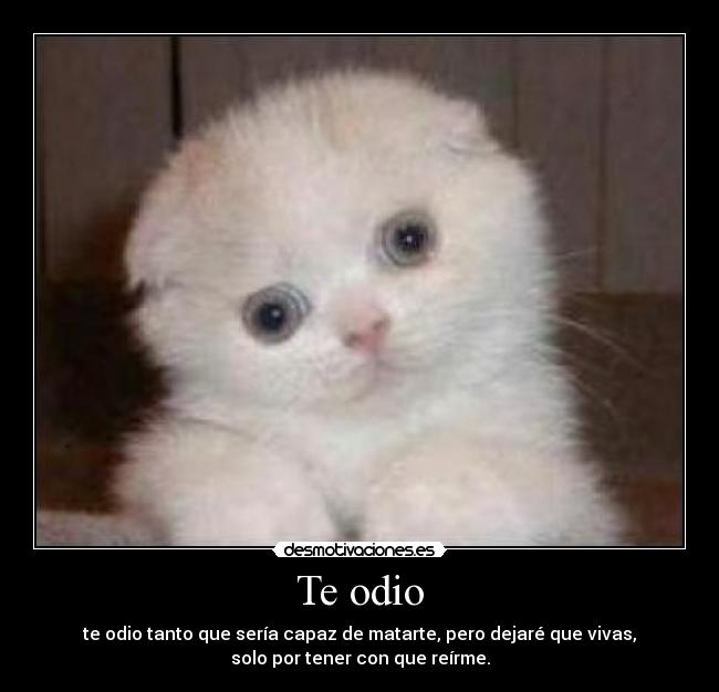 Te odio -