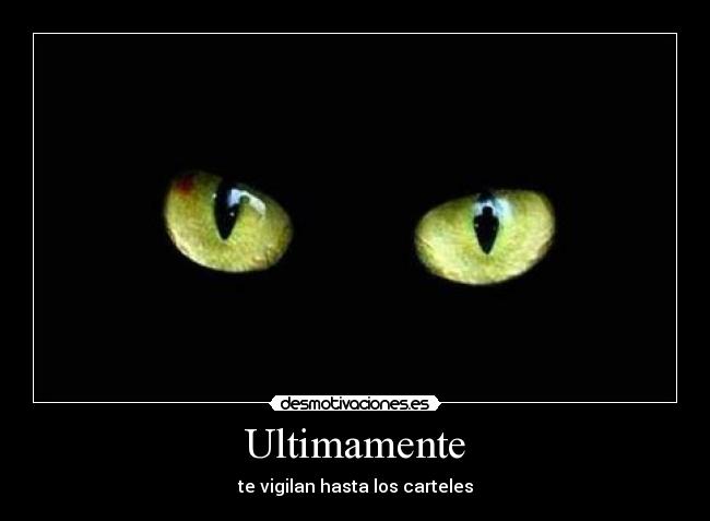 Ultimamente - 