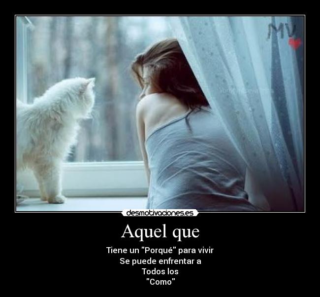 carteles aquel que mas hacer gusta gatoshaha corazon desmotivaciones