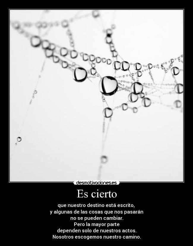 Es cierto - que nuestro destino está escrito,
y algunas de las cosas que nos pasarán
no se pueden cambiar.
Pero la mayor parte
dependen solo de nuestros actos.
Nosotros escogemos nuestro camino.