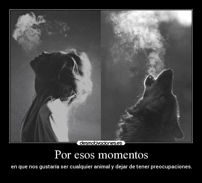 Por esos momentos - en que nos gustaría ser cualquier animal y dejar de tener preocupaciones.