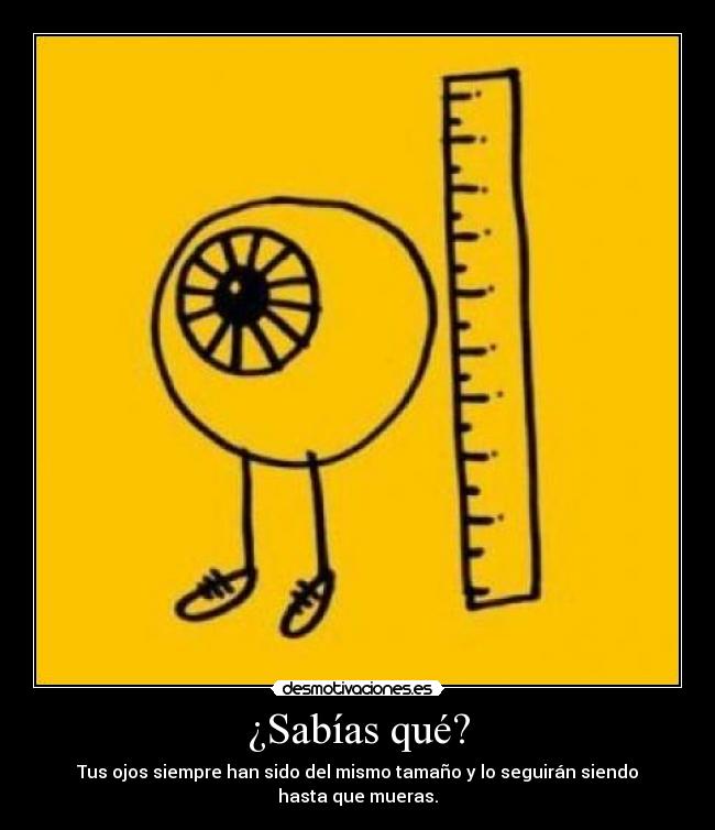 ¿Sabías qué? - Tus ojos siempre han sido del mismo tamaño y lo seguirán siendo hasta que mueras.