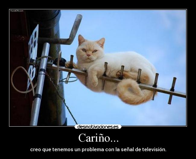 Cariño... - creo que tenemos un problema con la señal de televisión.