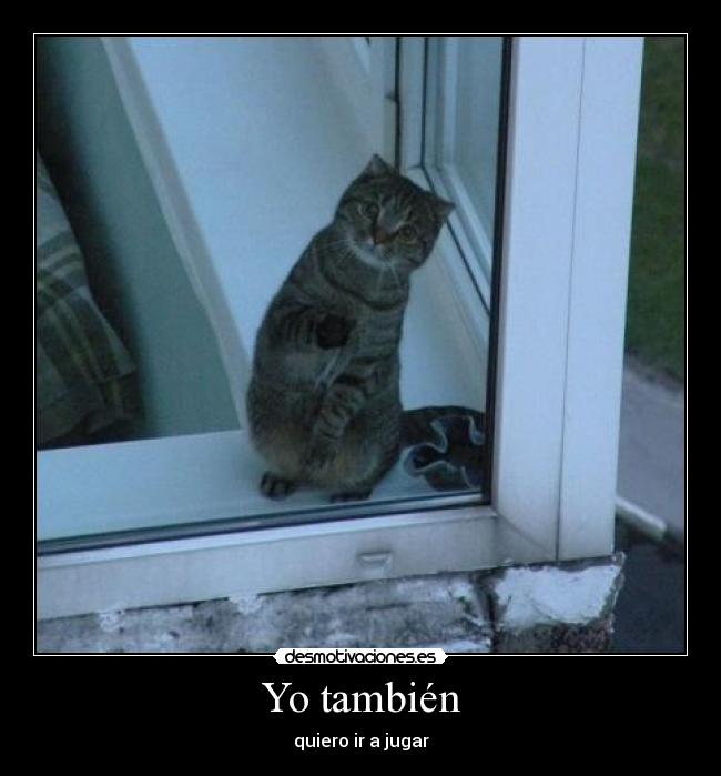 Yo también -