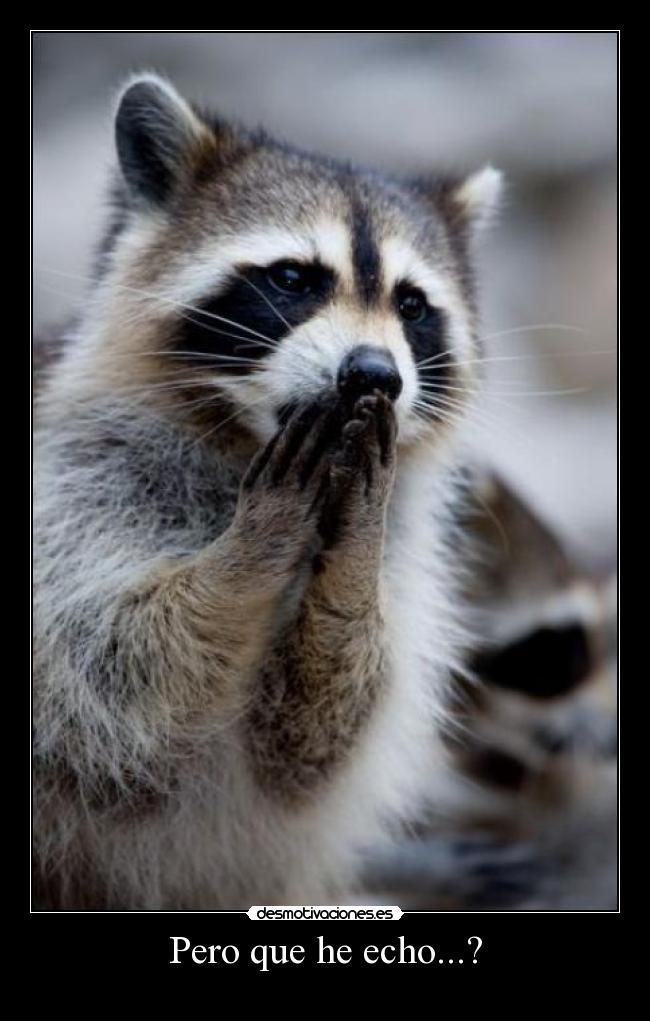 Pero que he echo...? -