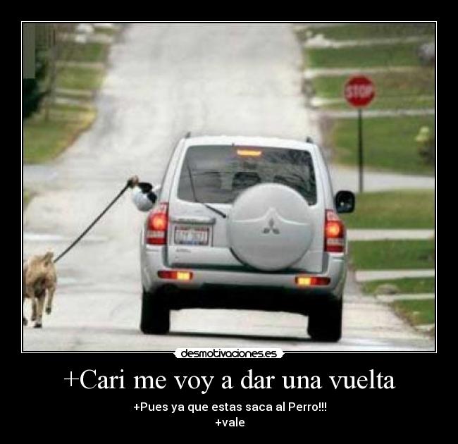 carteles perro paseo coche wtf conducir pareja mascota desmotivaciones