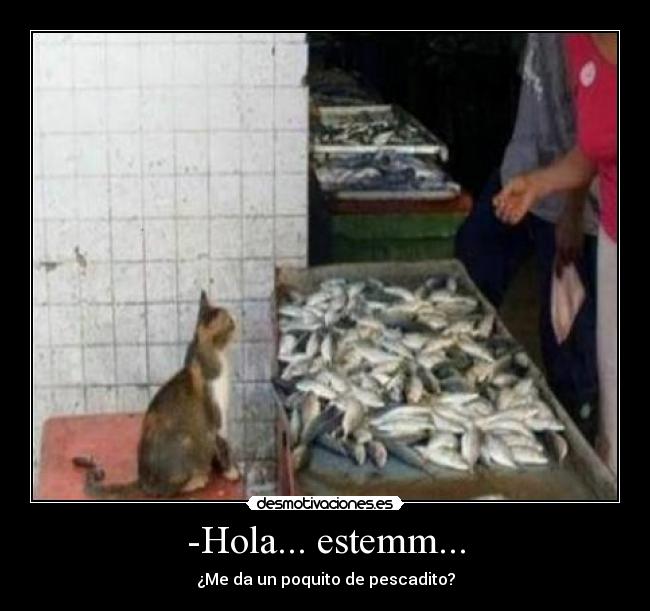 -Hola... estemm... - 