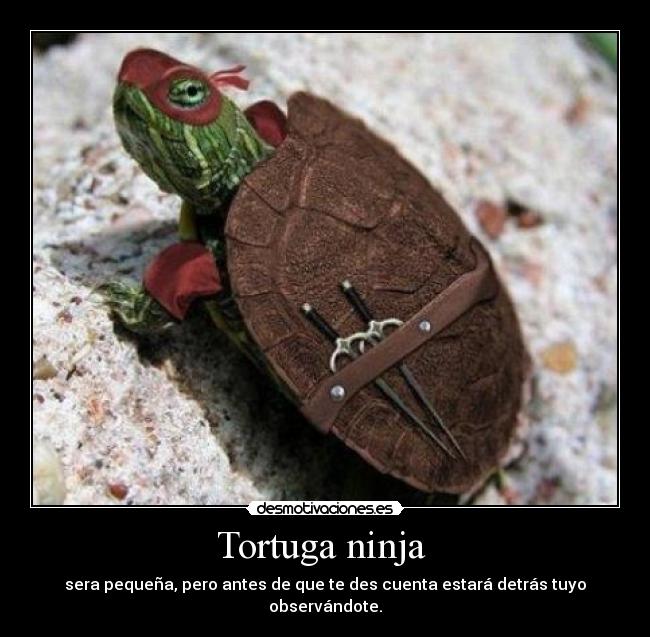 Tortuga ninja -