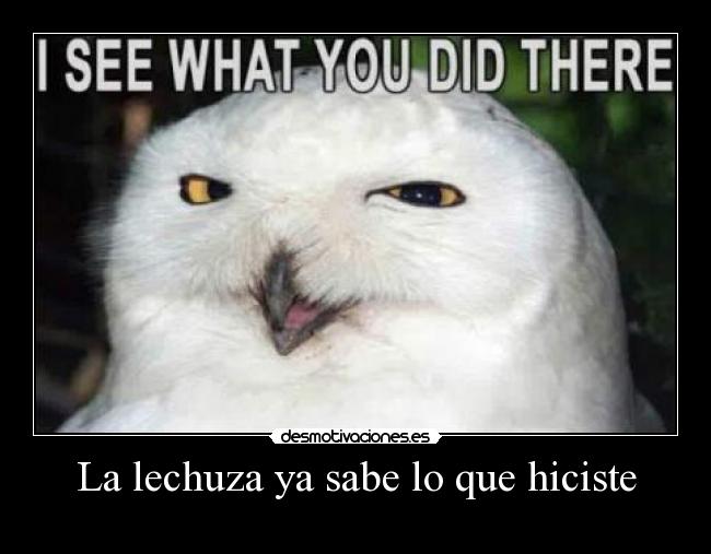 La lechuza ya sabe lo que hiciste - 