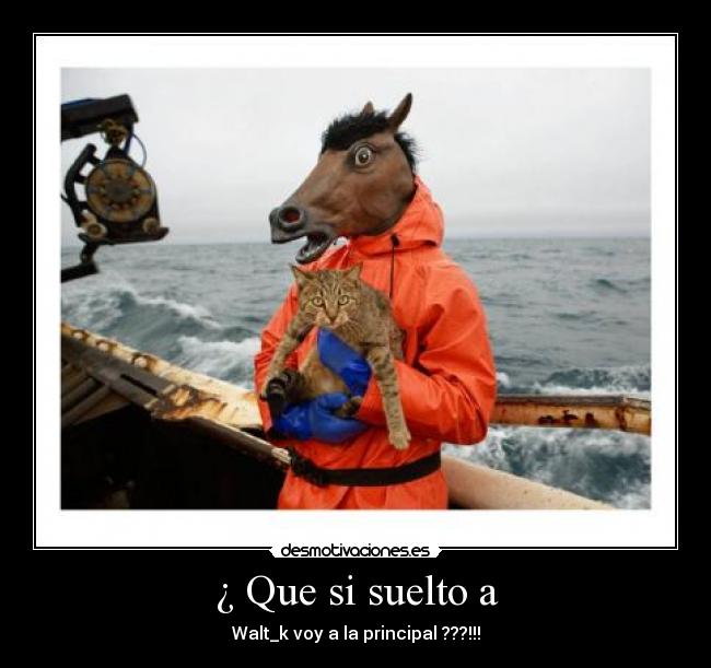 ¿ Que si suelto a - Walt_k voy a la principal ???!!!