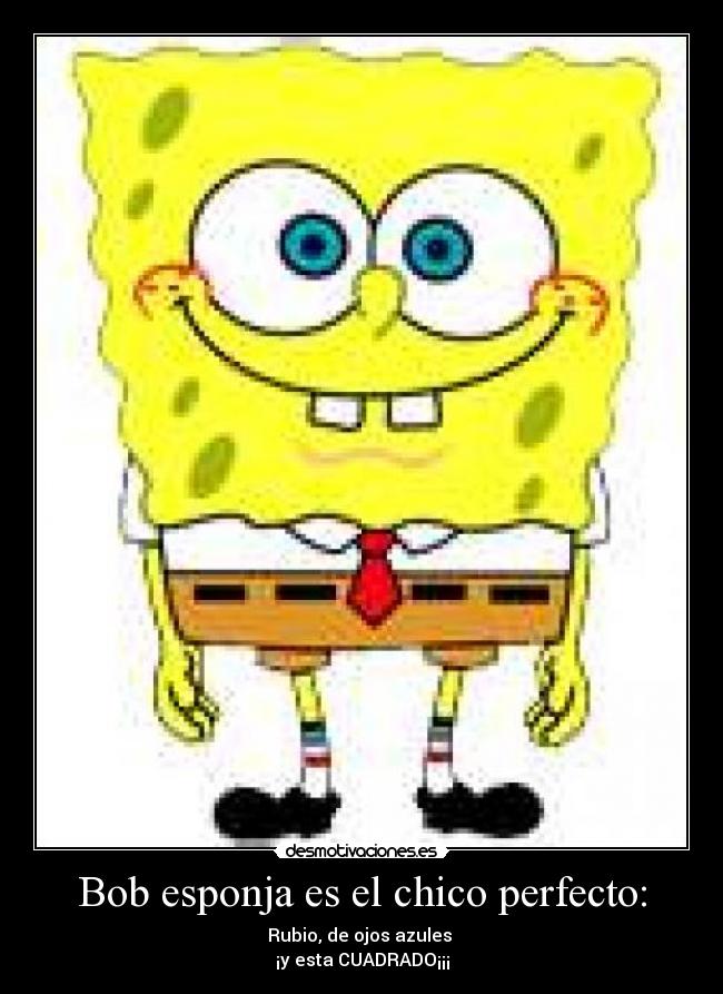 Bob esponja es el chico perfecto: - 