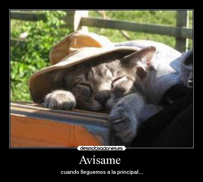 Avísame  - 