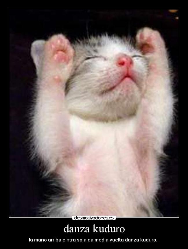 danza kuduro - la mano arriba cintra sola da media vuelta danza kuduro...