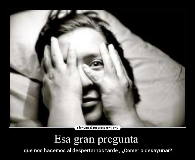 Esa gran pregunta  - 