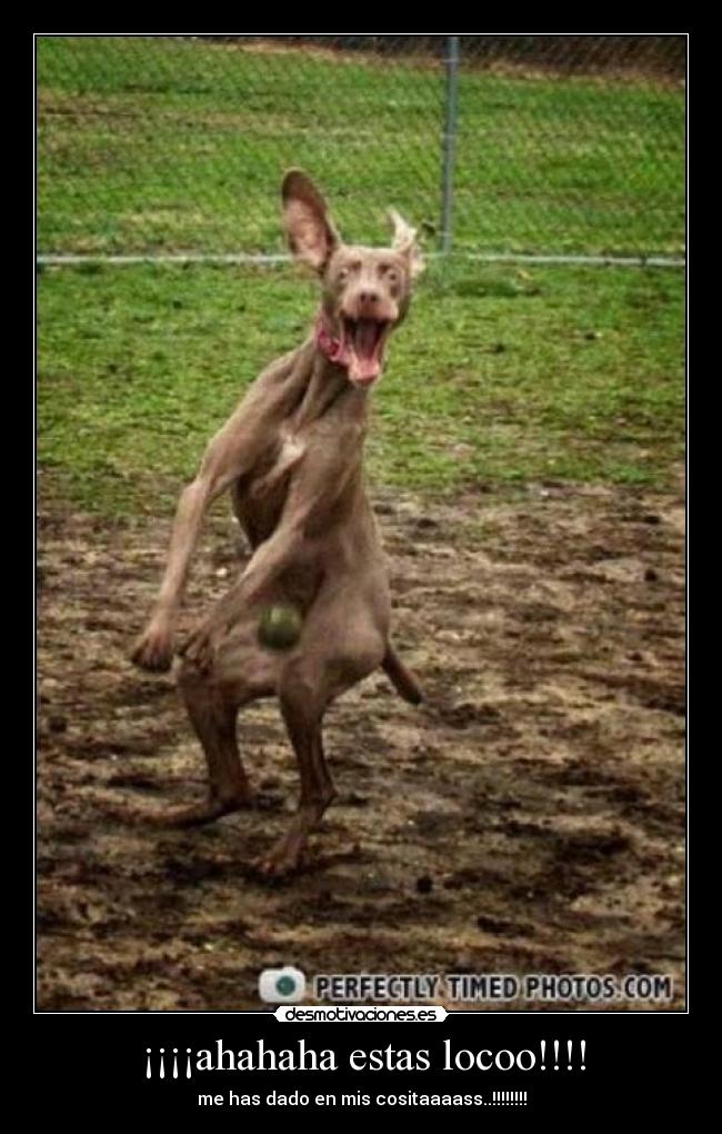 ¡¡¡¡ahahaha estas locoo!!!! - me has dado en mis cositaaaass..!!!!!!!!