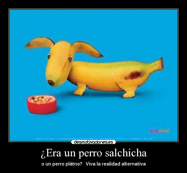 ¿Era un perro salchicha - o un perro plátno?   Viva la realidad alternativa