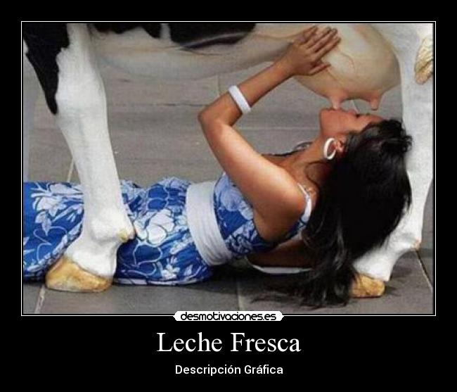 Leche Fresca - 