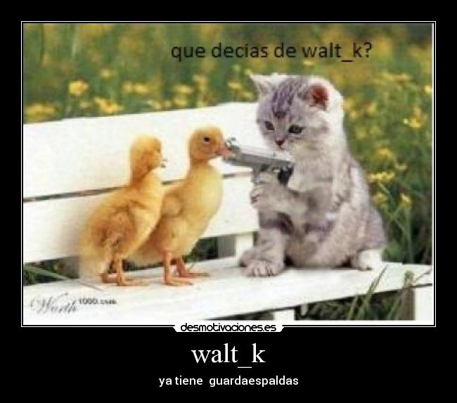 walt_k -