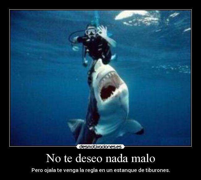 No te deseo nada malo - 