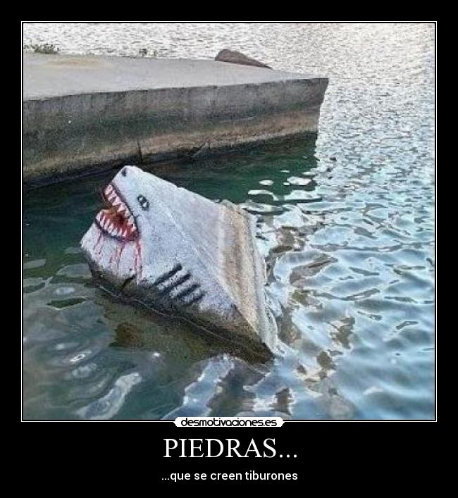 PIEDRAS... - ...que se creen tiburones
