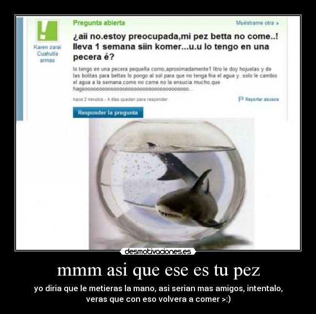 mmm asi que ese es tu pez - yo diria que le metieras la mano, asi serian mas amigos, intentalo,
veras que con eso volvera a comer >:)