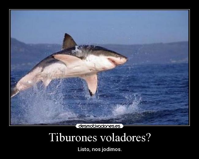 Tiburones voladores? - Listo, nos jodimos.