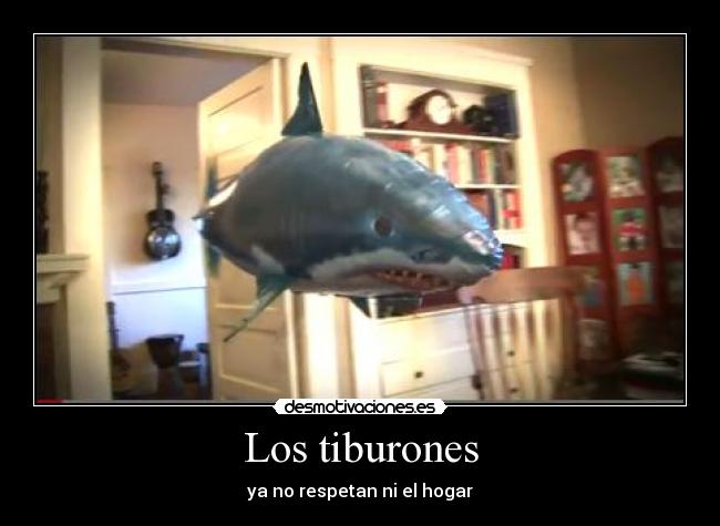 Los tiburones - ya no respetan ni el hogar