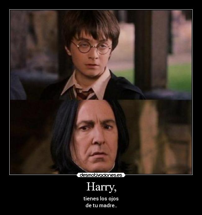 carteles harry potter desmotivaciones