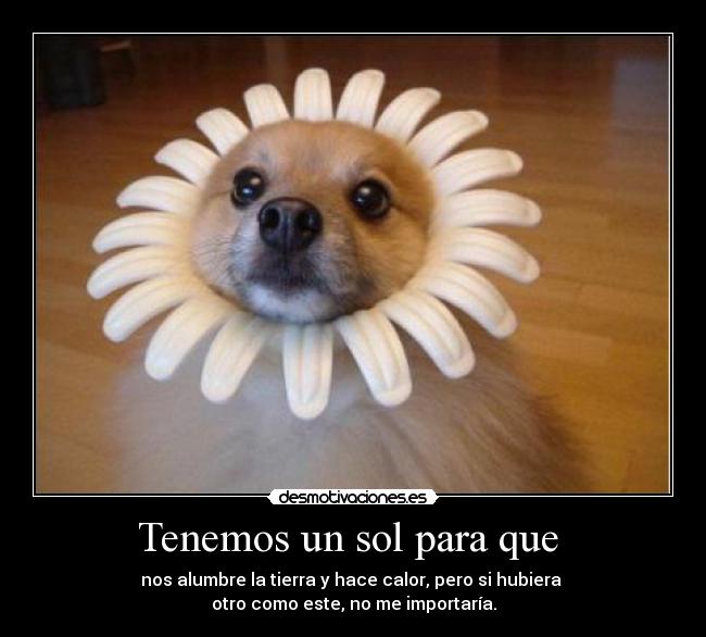 Tenemos un sol para que  - 