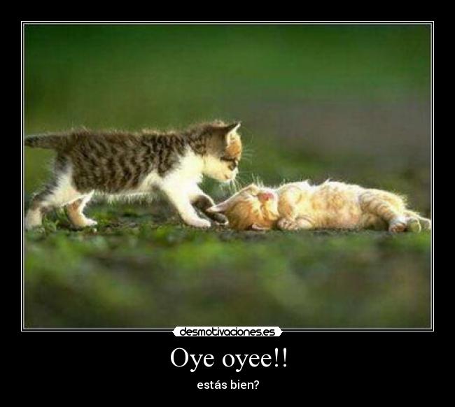 Oye oyee!! -
