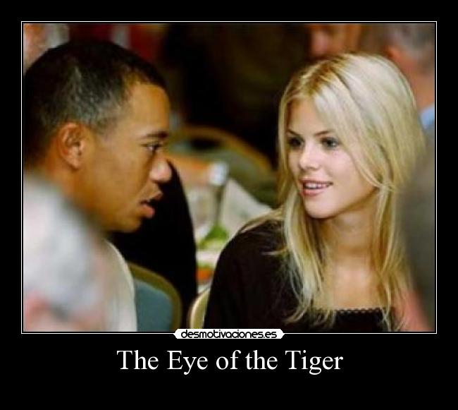The Eye of the Tiger - 