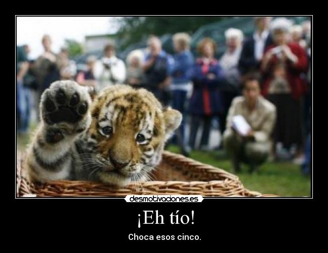 ¡Eh tío! -